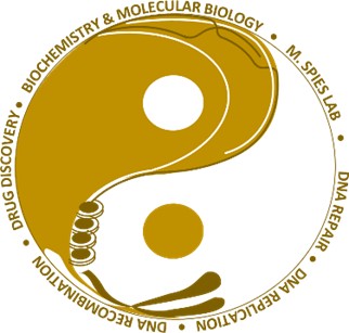 lab logo